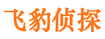 汉源市私家侦探